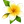 Nouveau